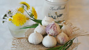 The Healing Properties You Never Knew About Garlic